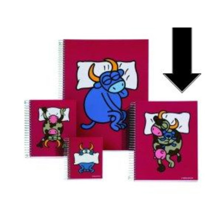 CUADERNO EUROPEAN DEC A-5 KUKUXUMUSU 07 LOTI 140H 44796 ^