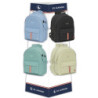 CONTENIDO EXPOSITOR 950 EL GANSO BASICS SAFTA26 642561258 160X42 UNIDAD