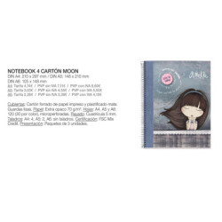 CLAVADORA PETRUS 295/530 TOP ESSELTE 66786