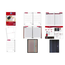 AGENDA 18/19 OXFORD PROFESOR A-4 PENTOPLAN 400069352