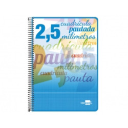 CUADERNO TD FL 80H LIDERPAPEL PAUTAGUIA 2,5MM MARGEN COLORES SURTIDOS 58585