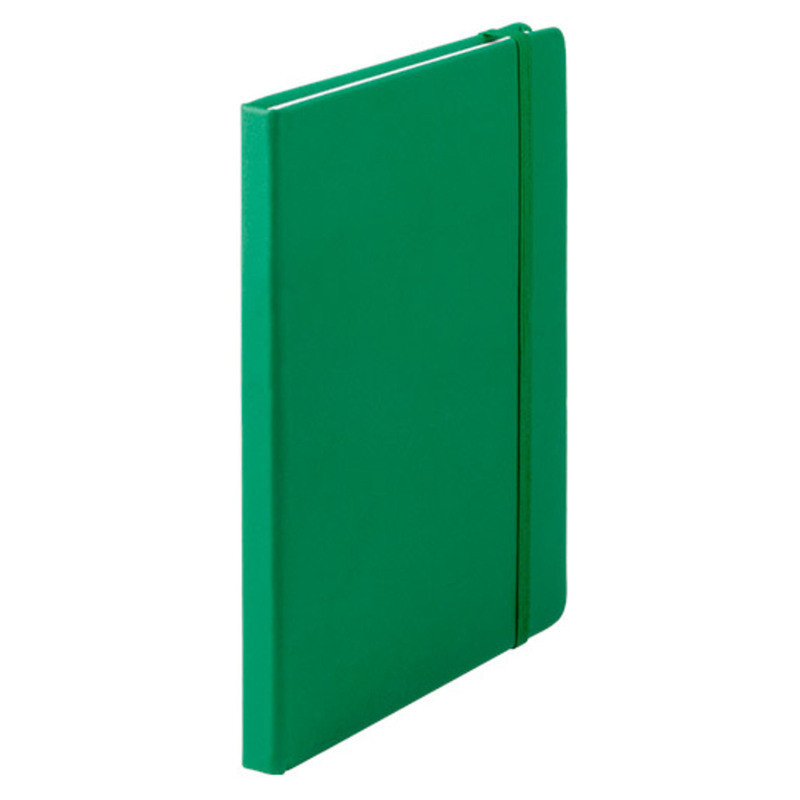BLOC NOTAS CILUX POLIPIEL 100H COLOR VERDE C/MARCAPAGINAS 147*210 CA4060/04 DISPLAST