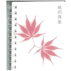 CUADERNO MULTIFIN 16º LISO HOJAS M500 ^