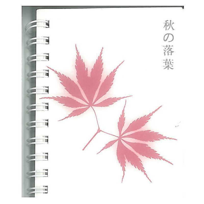 CUADERNO MULTIFIN 16º LISO HOJAS M500 ^