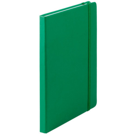 BLOC NOTAS CILUX POLIPIEL 100H COLOR VERDE C/MARCAPAGINAS 147*210 CA4060/04 DISPLAST