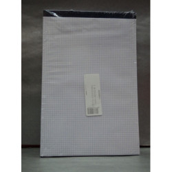 BLOC NOTAS GRAPADO  FL LISO SIN TAPA PTE 5U