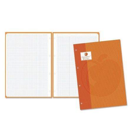 RECAMBIO GOLDEN SCHOOL EUROPEAN A-4  80H 5*5 NARANJA POESSA 323828