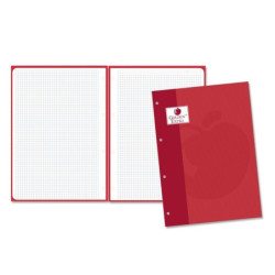 RECAMBIO GOLDEN SCHOOL EUROPEAN A-4  80H 5*5 ROJO POESSA 323831