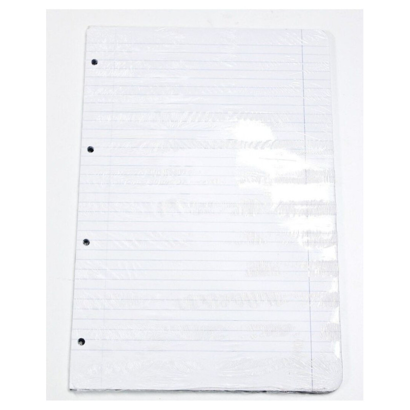 RECAMBIO FL 100H 4 TAL OFERTA HORIZONTAL