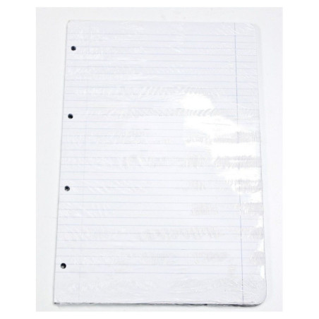 RECAMBIO FL 100H 4 TAL OFERTA HORIZONTAL