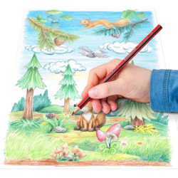 LAPIZ STAEDTLER NORIS COLOUR 12 COLORES TRIANGULAR 187 C12