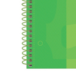 CUADERNO ENRI OXFORD SCHOOL EUROPEAN A-4  80H HZTAL VERDE MANZANA 400118238