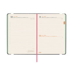 AGENDA JOY F4 1DP 2026 BLOOM+ FINOCAM26 883580226 120 X 23 X 172 MM