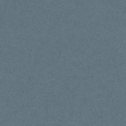 CARTULINA CANSON GUARRO IRIS A-4 GRIS PLOMO 36 PTE 50U