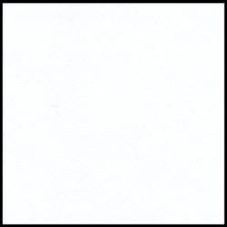 CARTULINA CANSON GUARRO IRIS A-4 BLANCA 01 185G PTE 50U 200040152