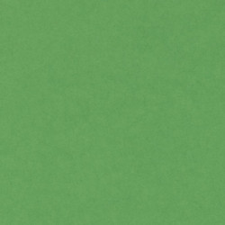 CARTULINA CANSON GUARRO IRIS A-4 VERDE BILLAR 29 PTE 50U 200040172