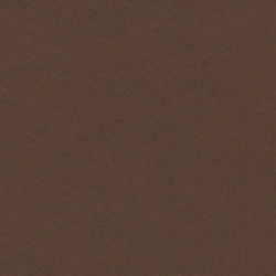 CARTULINA CANSON GUARRO IRIS A-4 MARRON CHOCOLATE 34 PTE 50U 200040176