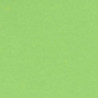 CARTULINA CANSON GUARRO IRIS A-4 VERDE MANZANA 27 PTE 50U 200040171
