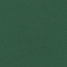 CARTULINA CANSON GUARRO IRIS 30KG 50*65 VERDE AMAZONAS 31 PTE/25U