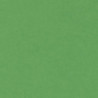 CARTULINA CANSON GUARRO IRIS A-3 VERDE BILLAR 29 PTE 50U C200040208