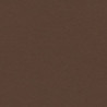 CARTULINA CANSON GUARRO IRIS A-3 MARRON CHOCOLATE 34 PTE 50U C200040213