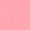 CARTULINA CANSON GUARRO IRIS A-3 ROSA 10 PTE 50U