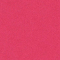 CARTULINA CANSON GUARRO IRIS A-3 FUCSIA 11 PTE 50U