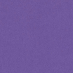 CARTULINA CANSON GUARRO IRIS A-3 VIOLETA 18 PTE 50U C200040197
