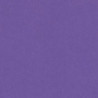 CARTULINA CANSON GUARRO IRIS A-3 VIOLETA 18 PTE 50U C200040197