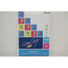PAPEL REPRO SATINADO 160G A-4 COLOR COPY 250H