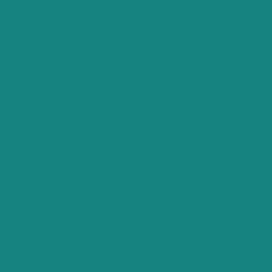 CARTULINA CANSON GUARRO IRIS 30KG 50*65 VERDE MENTA 87 PTE/25U C400080160