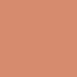 CARTULINA CANSON GUARRO IRIS 30KG 50*65 CORAL 84 PTE/25U