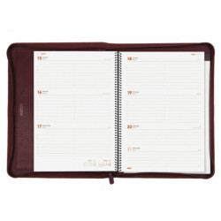 AGENDA ANUAL FINOCAM FOCUS-AG.SV VERT.E40 BURDEOS 509687421