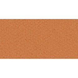 CARTULINA CANSON MI-TEINTES A-4 160G 384 SALMON PTE 50H