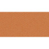 CARTULINA CANSON MI-TEINTES A-4 160G 384 SALMON PTE 50H