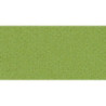 CARTULINA CANSON MI-TEINTES A-4 160G 480 VERDE ALMENDRA PTE 50H