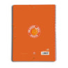CARPETA ESCAPARATE DEC A4 30 FUNDAS ERIK DRAGONBALL CFA406