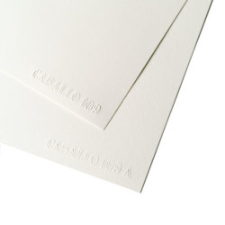 PAPEL MCH CABALLO 109 A-4 21*29,7 250G PTE 100H