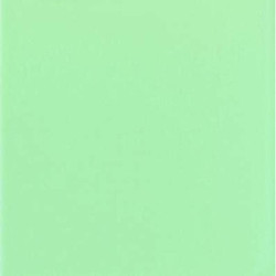 TAPA ENCUADERNAR A-4 POLIPROPILENO 0,45 PASTEL VERDE PTE 100U DHP 22171