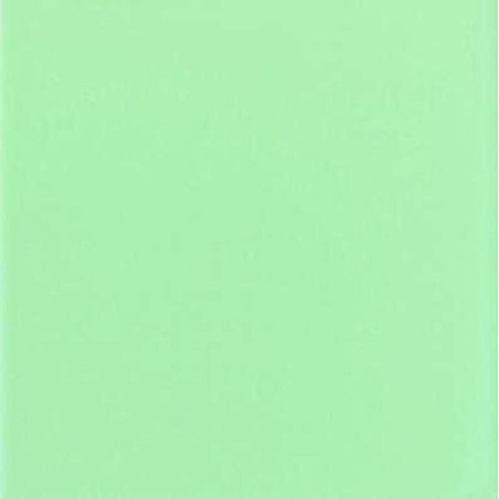 TAPA ENCUADERNAR A-4 POLIPROPILENO 0,45 PASTEL VERDE PTE 100U DHP 22171