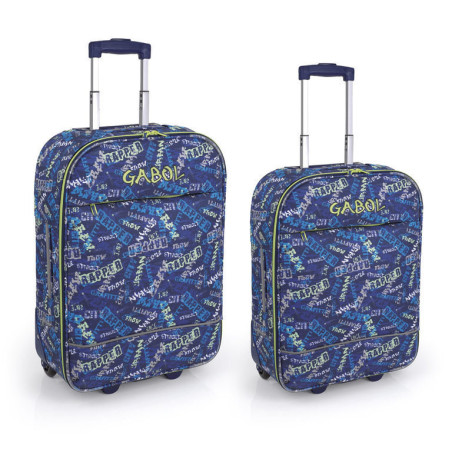 LOTE 2 TROLLEYS GABOL16 SCHOOL SPRAY CABINA MEDIANA 217904 ^