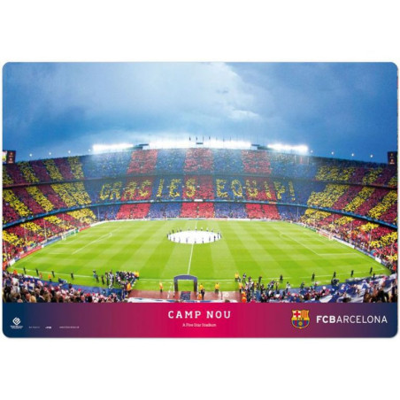 VADE ERIK DECORADO FCBARCELONA ESTADIO CAMP NOU 35*50 TSEH215