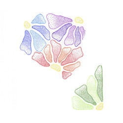 ROTULADOR JOVI FINO 24 COLORES 1924 CAJA CARTON UNIDAD