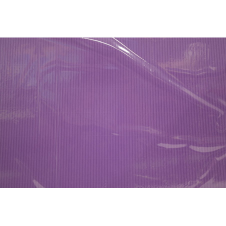CARTON ONDULADO MORADO 50*65 PTE 5H 05828 SADIPAL