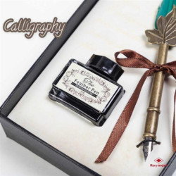 PLUMA CALIGRAFICA C/6 PUNTAS ESTUCHE ALEX BOG AB-0250