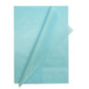 PAPEL SEDA AZUL CLARO MANO 25 H INETA