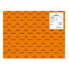 CARTULINA CANSON GUARRO IRIS 30KG 50*65 NARANJA 09 PTE/25U C200040224