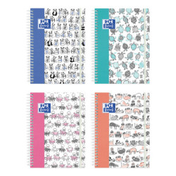 PASTA MODELAR DAS BLANCA PRONTO 500G FILA