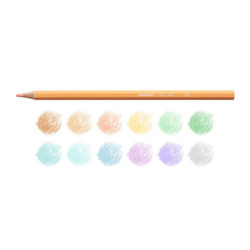 LAPIZ CARIOCA PASTEL MADERA 12 COLORES 43034