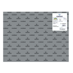 CARTULINA CANSON GUARRO IRIS 30KG 50*65 GRIS PLOMO 36 PTE/25U